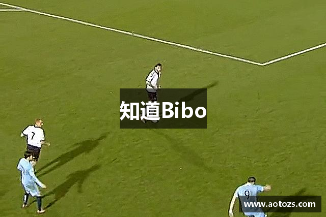 知道Bibo